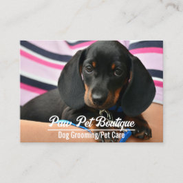 Cartão De Visita Cão Groomer Pet Care Puppy Walker