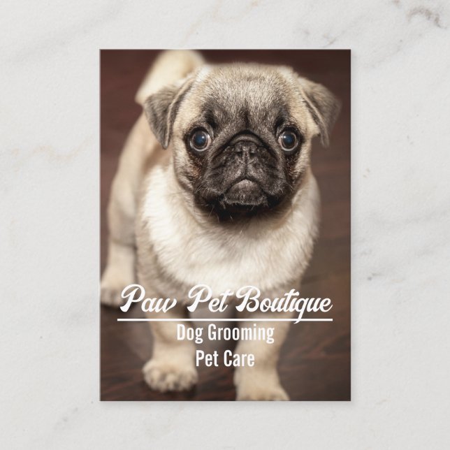 Cartão De Visita Cão Groomer Pet Care Puppy Walker (Frente)
