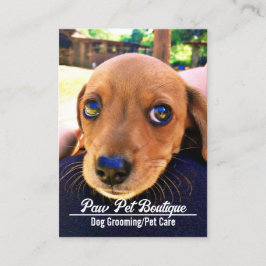 Cartão De Visita Cão Groomer Pet Care Puppy Walker