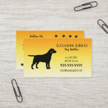 Cão Labrador Preto Passador Amarelo