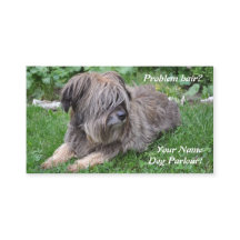 Cão que prepara o sheepdog peludo