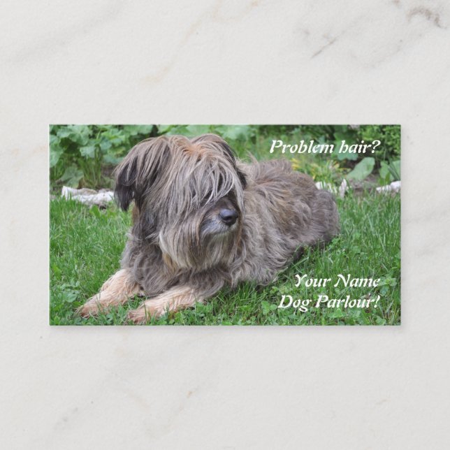 Cartão De Visita Cão que prepara o sheepdog peludo (Frente)