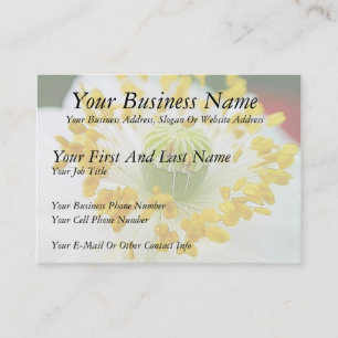 Cartão De Visita Cápsula Branca Delicada