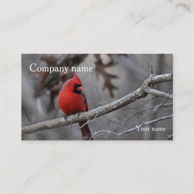 Cartão De Visita Cardinal (Frente)