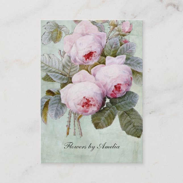 Cartão De Visita Carnudo botânico do jardim de rosas inglês do (Frente)
