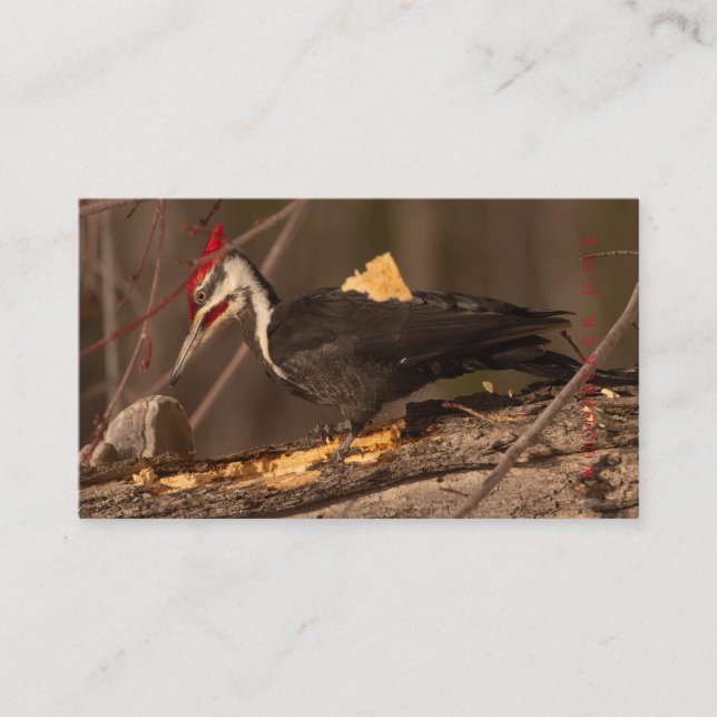 Cartão De Visita Carpinteiro, Trabalhador De Madeira, Fabricante De (Frente)