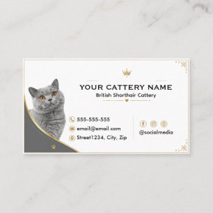 Cartão De Visita Cattery de Gato de Raça British Shorthair Moderna