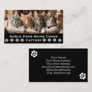 Cartão De Visita Cattery Maine Coon Criador de Pet Personalizável