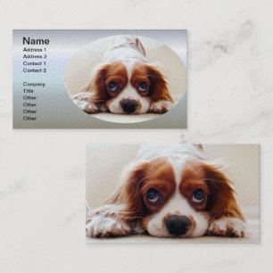 Cartão De Visita Cavalier King Charles Spaniel