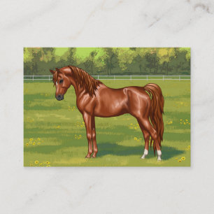 Cartão De Visita Cavalo Árabe Egípcio Chestnut em Pasture Primave