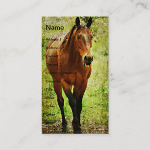 Cartão De Visita Cavalo Engraçado