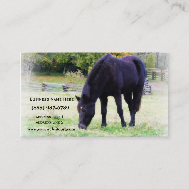 Cartão De Visita Cavalo preto que pasta (Frente)