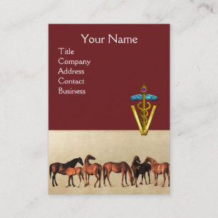 CARTÃO DE VISITA CAVALOS /ÉGUAS E POTROS SÍMBOLO VETERINÁRIO CADUCE