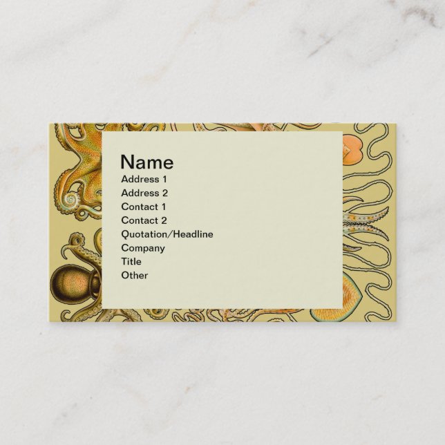 Cartão De Visita Cephalopota Octopus Natureza Marinha Lula (Frente)