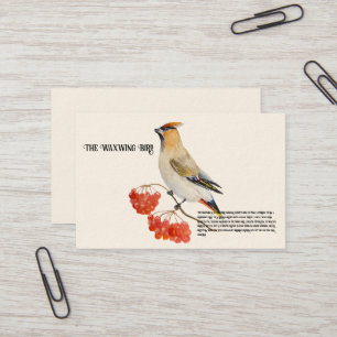 Cartão De Visita Cera de aves da floresta aquosa