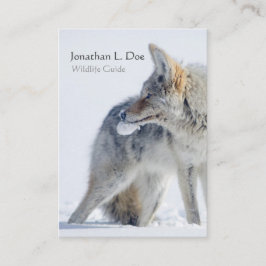Cartão De Visita Chacal no guia dos animais selvagens da neve,