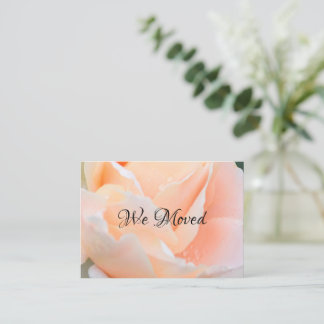 Cartão De Visita Change of Address Card – Elegant Peach Rose Floral