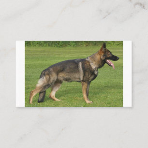 Cartão De Visita Cheio de german shepherd