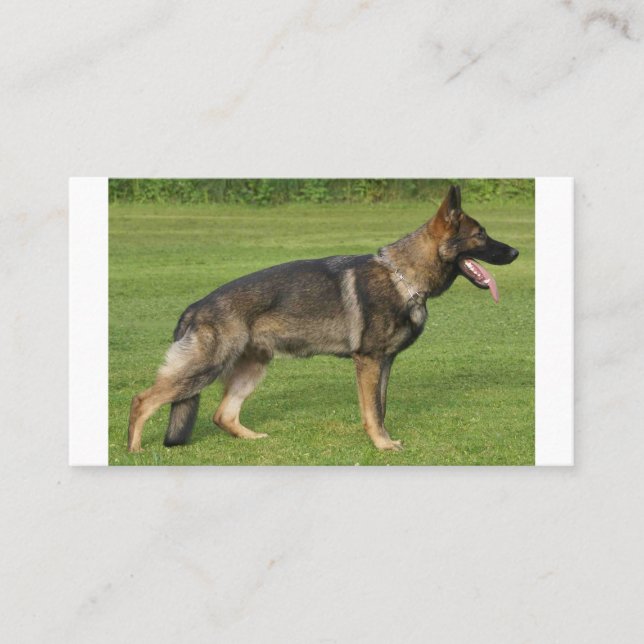 Cartão De Visita Cheio de german shepherd (Frente)