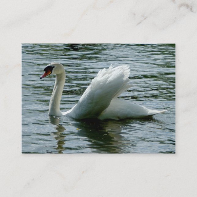 Cartão De Visita Cisne (Frente)