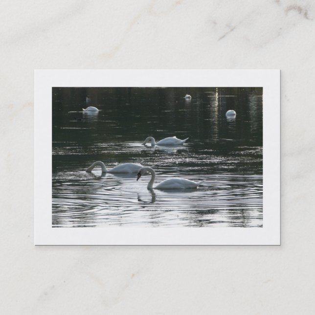 Cartão De Visita Cisnes (Bordados) (Frente)