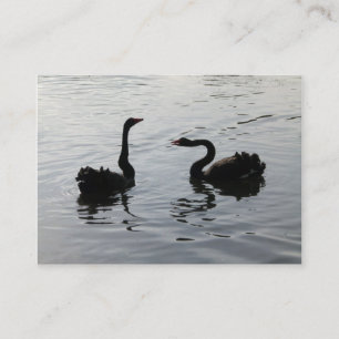 Cartão De Visita Cisnes Negros Saudação