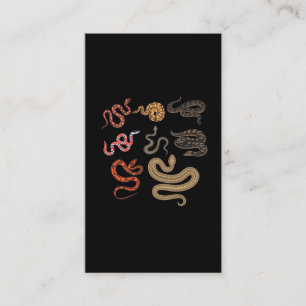 Cartão De Visita Cobra Hunter Reptile Collector Animal Education