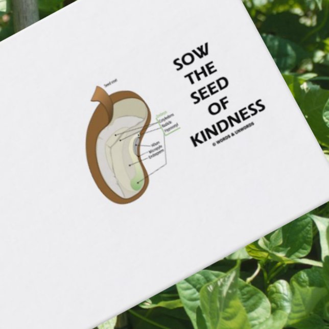 Cartão De Visita Colher A Semente De Bondade (Sementes De Dicotiled (Dicotyledon bean biz card for anyone who wishes to encourage others to 
"Sow The Seed Of Kindness")