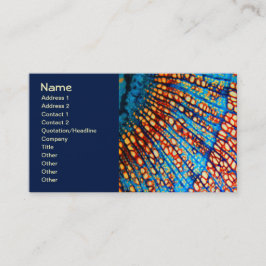 Cartão De Visita Colorir Clematis Root Nature Mandala