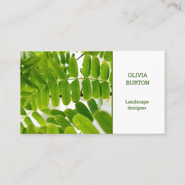 Cartão de visita com fundo natural. (Frente)