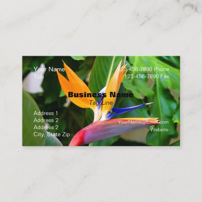 Cartão de Visita com uma Flor - HAMbyWG (Frente)