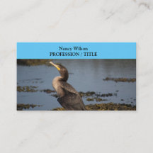 Cormorão de peito duplo