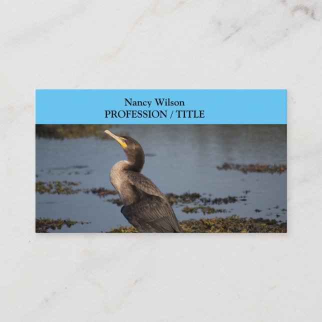 Cartão De Visita Corvo-marinho (Frente)