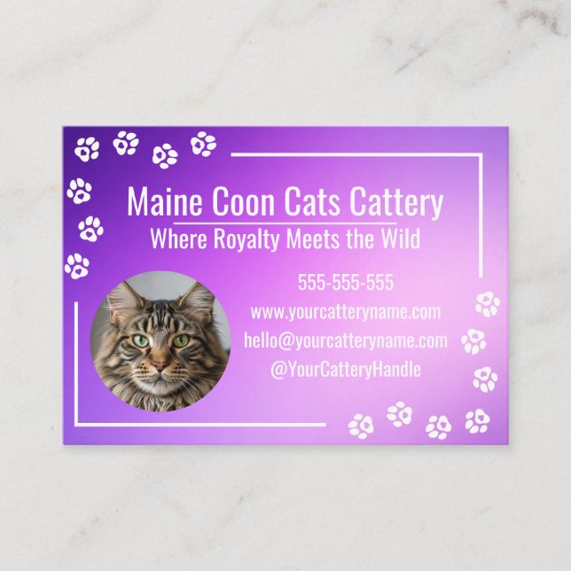 Cartão De Visita Cria de Maine Coon com Gradiente Roxo Moderno (Frente)