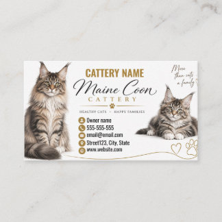 Cartão De Visita Criador de Gatos Maine Coon Cattery