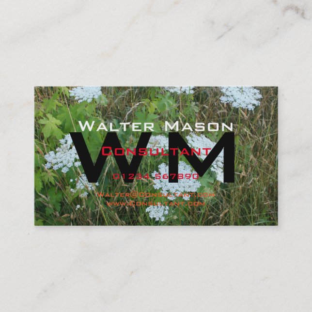 Cartão De Visita Crie seu próprio consultor fácil e genérico (Frente)