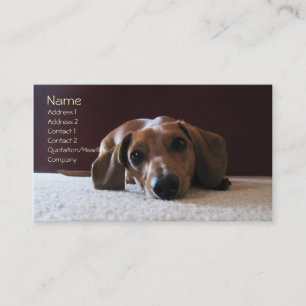 Cartão De Visita crockettsperfectpic, nome, endereço 1, endereço 2…