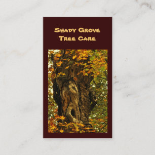 Cartão De Visita Cuidado da árvore