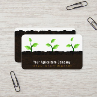 Cartão De Visita Cultivo de plântulas na agricultura do solo Hortic