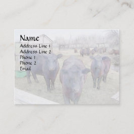 Cartão De Visita Curioso e jovem angus negro