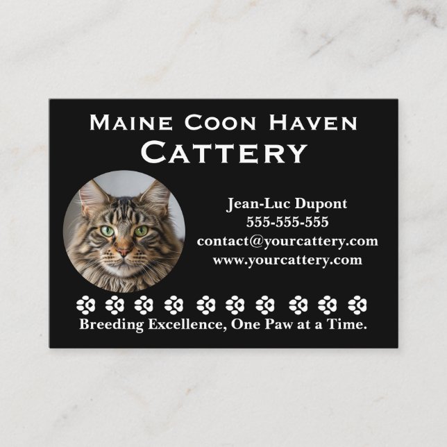 Cartão De Visita Customizable Maine Coon Cattery Business Card (Frente)