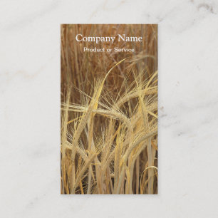 Cartão de visita da cevada