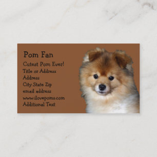 Cartão de visita da foto de Pomeranian