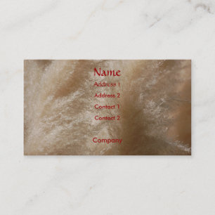 Cartão de visita da grama selvagem