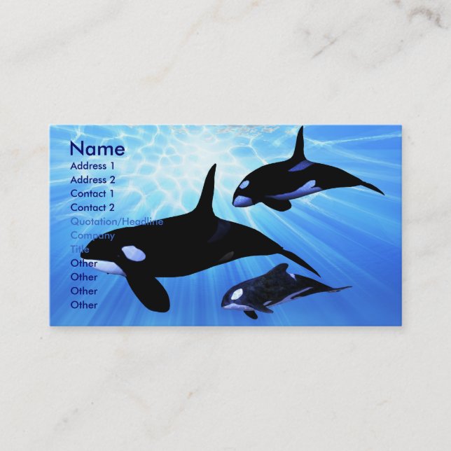 CARTÃO DE VISITA DA LUZ ECHO (Frente)