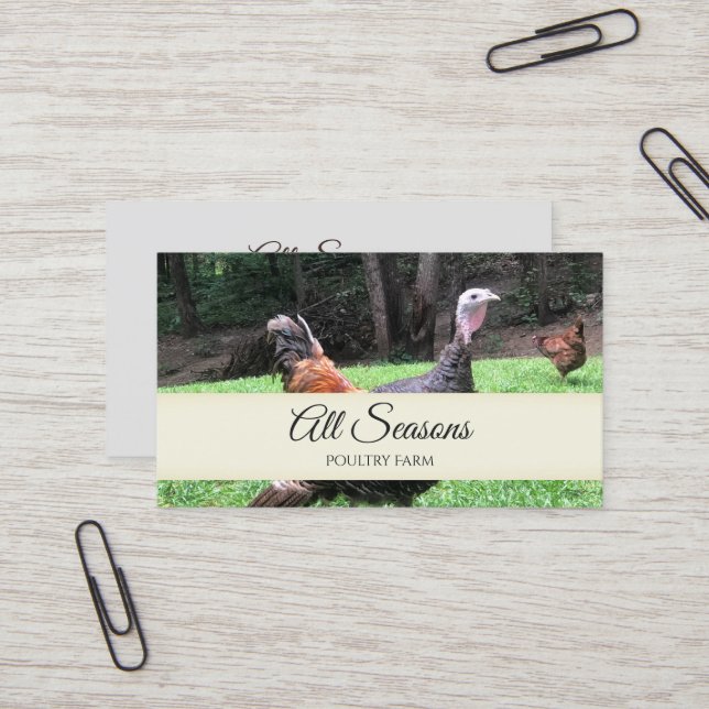 Cartão de visita da Turquia (Frente/Verso In Situ)