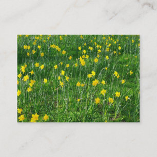 Cartão De Visita Daffodils/Narciso