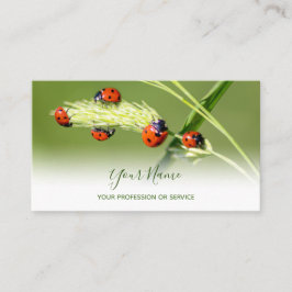 Cartão De Visita Damascos sortudos positivos para o bem-estar saudá