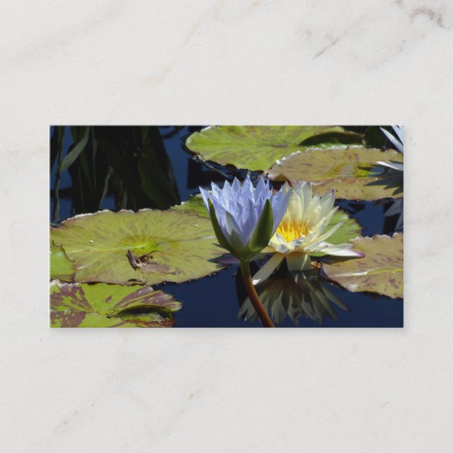 Cartão De Visita Dança de água (Frente)