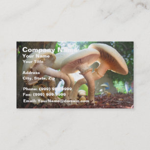 Cartão De Visita Dança dos cogumelos